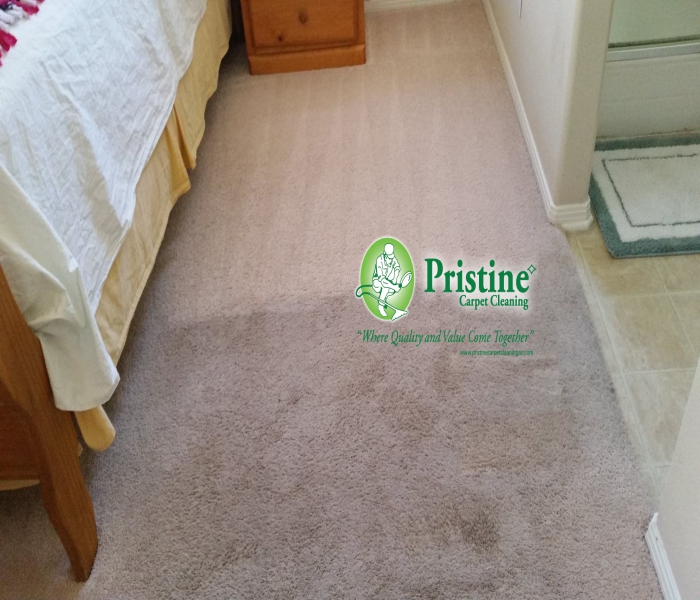 Carpet Cleaning Prices Anaheim Pristine Carpet Cleaning 7147422108