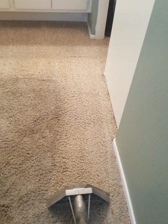 carpet cleaning carpet cleaning offers