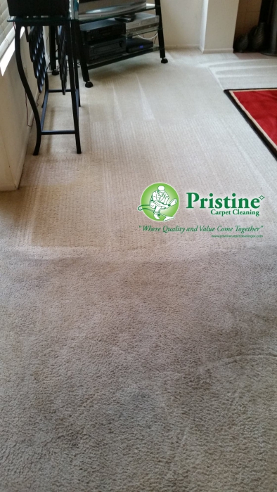 carpet cleaning services