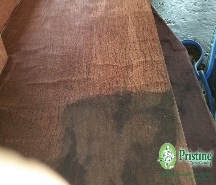 carpet cleaning
