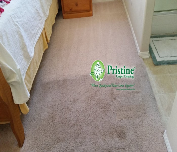 Carpet Cleaning near me