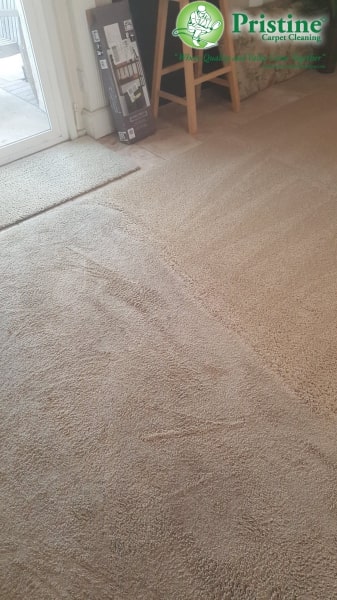 Carpet Cleaning Near me