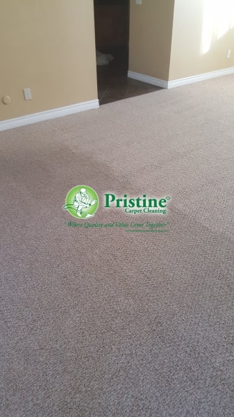 Quality Carpet Cleaning