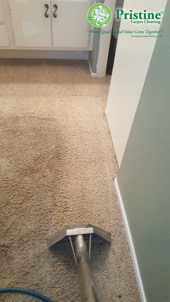 Affordable Carpet Cleaning