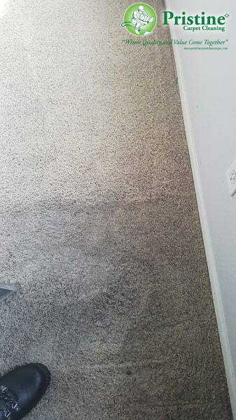 cleaning services