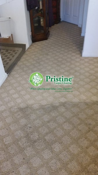 home carpet cleaning