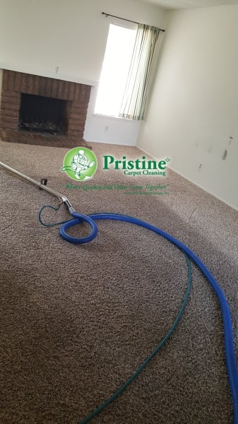 house carpet cleaning