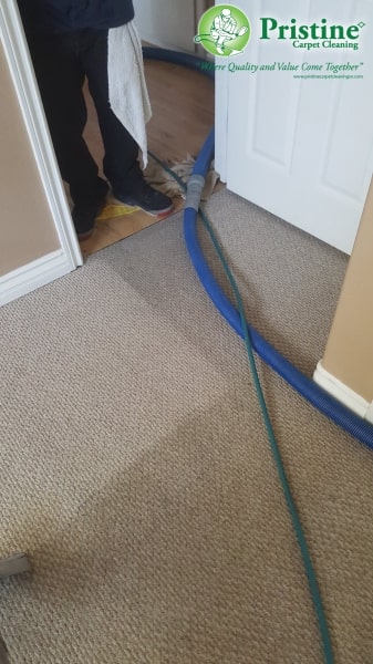 professional cleaning services