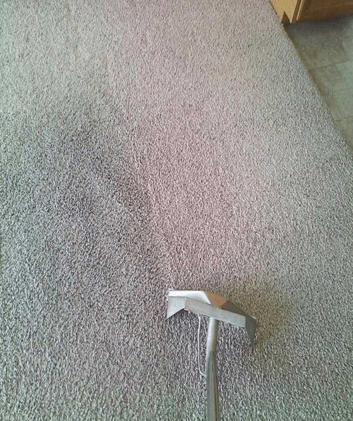 rug-cleaning-in-anaheim-image