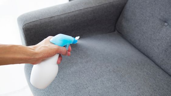 pre-treat the stain on couch