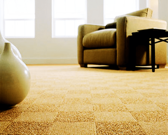 carpet-cleaning-service-image