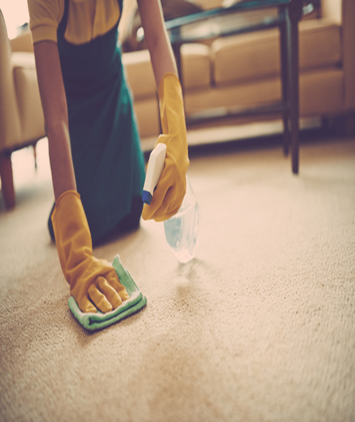 carpet-cleaning-anaheim-image